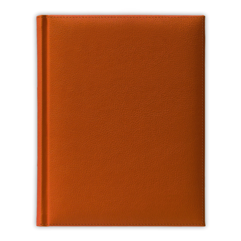 Ежедневник полудатированный V59 11х16,5 см  PLAZA оранжевый без среза
