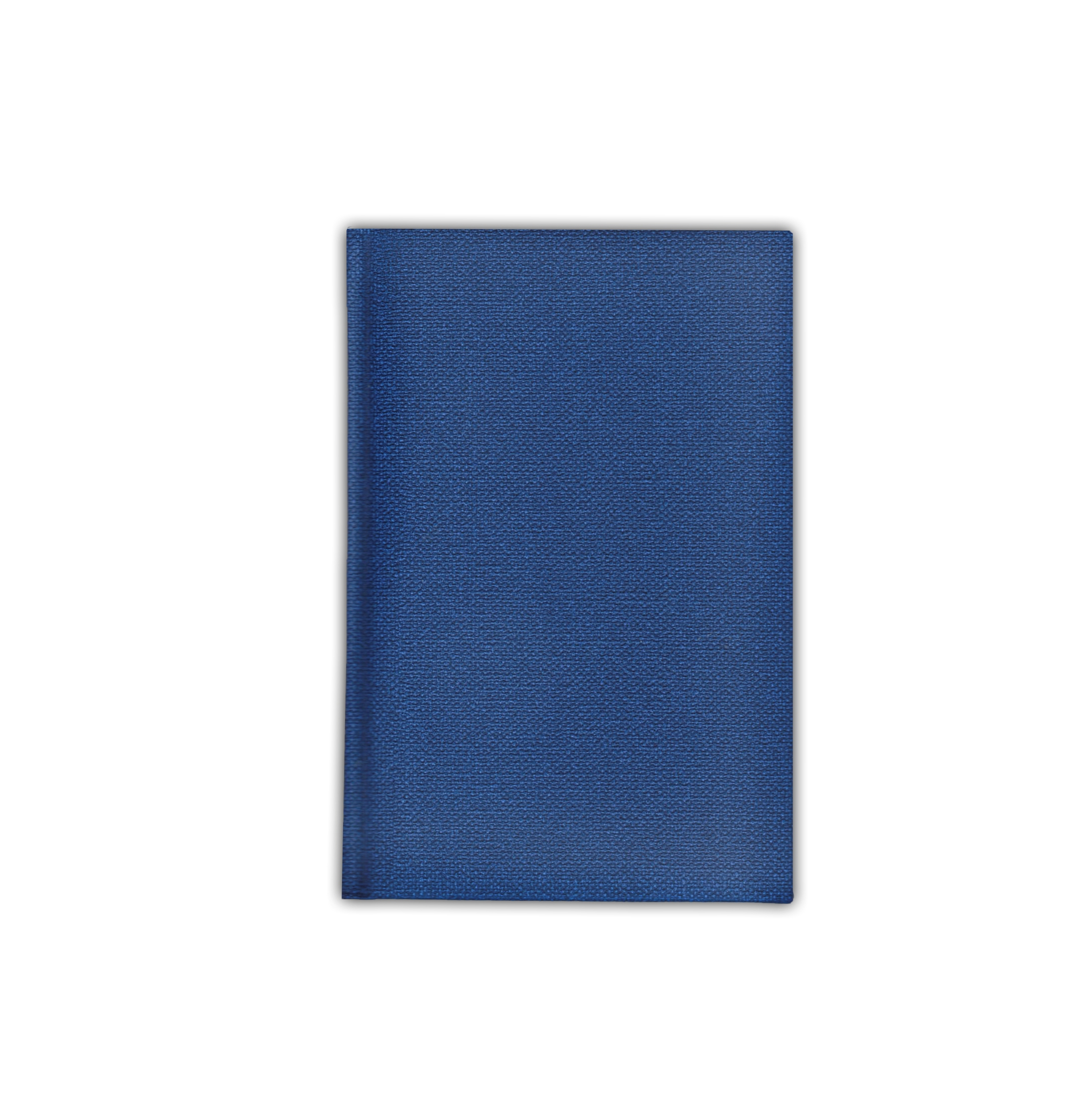 Ежедневник полудатированный V59 11х16,5 см  DELHI синий без среза