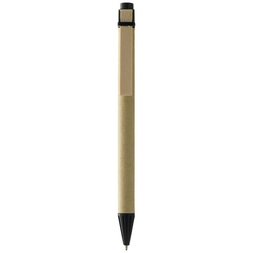 Шариковая ручка Salvador
