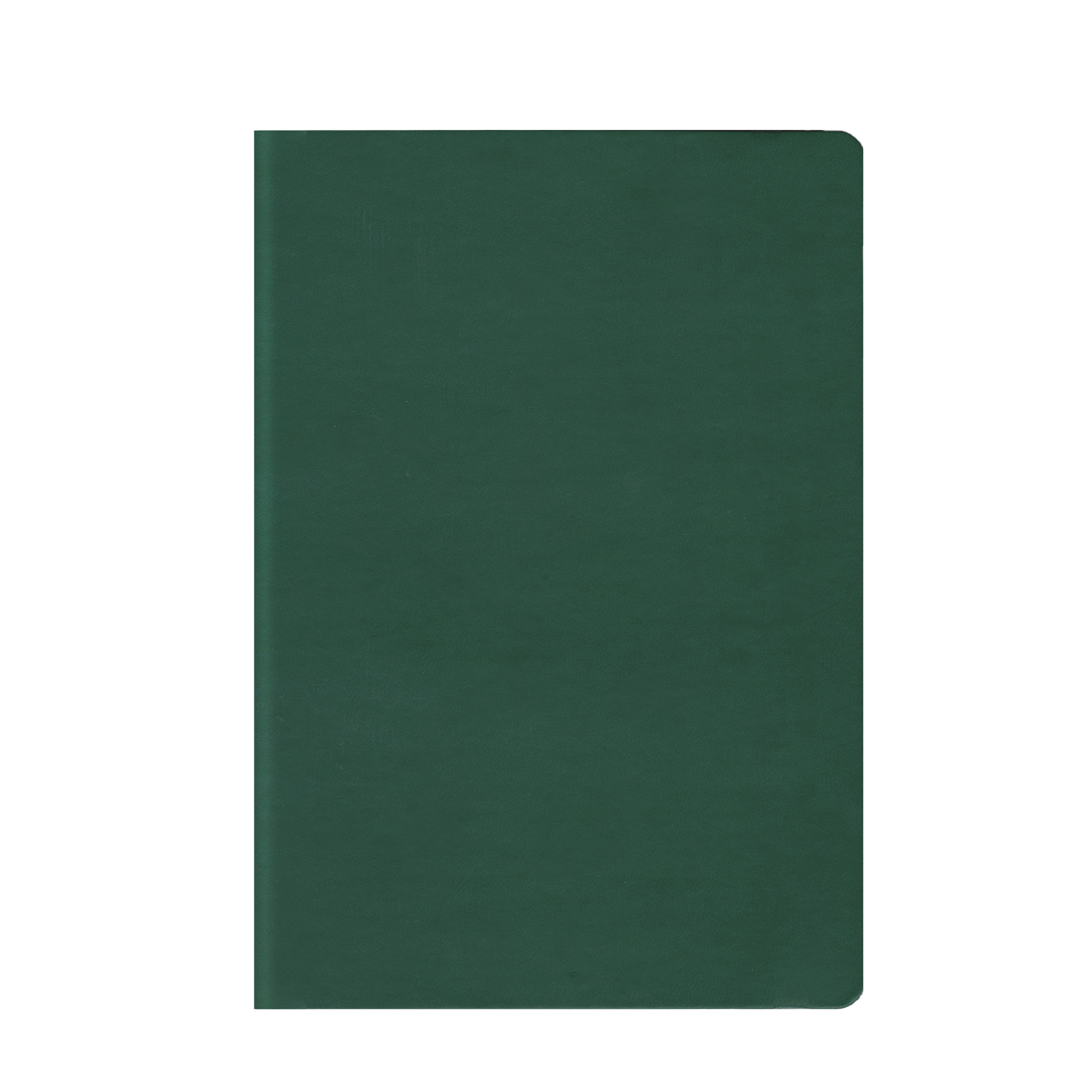 Ежедневник датированный V52 TUCSON FLEX зеленый