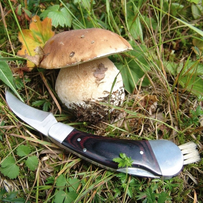 Нож для грибов Schwarzwolf PILZ