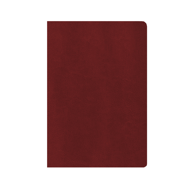 Ежедневник недатир. V77u 14,5x20,5 см NEBRASCA FLEX Premium бордовый уникум